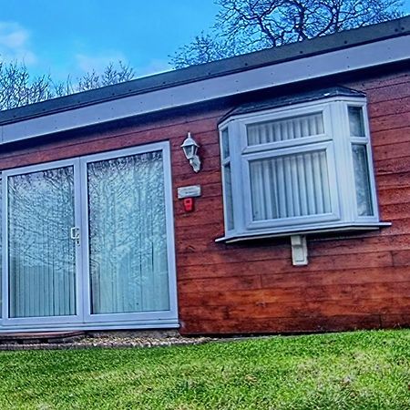 Ranger - Snowdon Cabins Holiday Let Caernarfon Caeathro Exterior foto